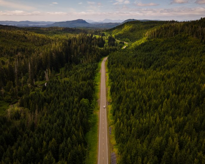 how-to-comment-on-the-planned-roadless-rule-rollback