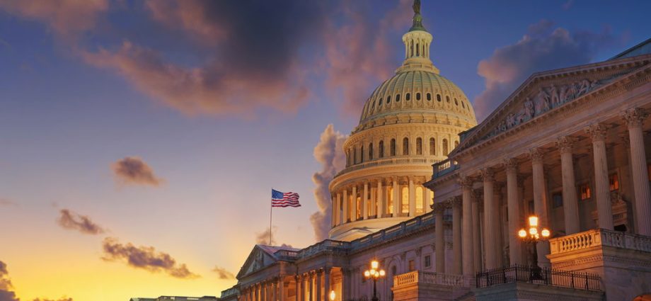 should-democrats-shut-the-government?