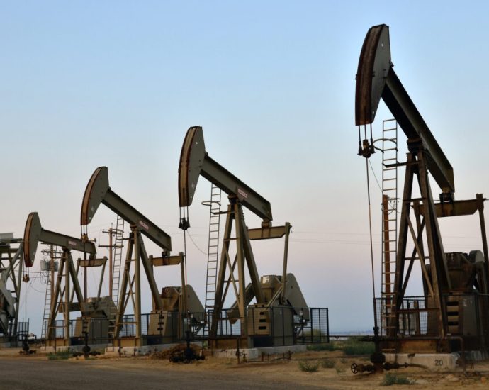 the-traitor-administration-moves-to-dismantle-conservation-as-an-official-use-of-public-lands