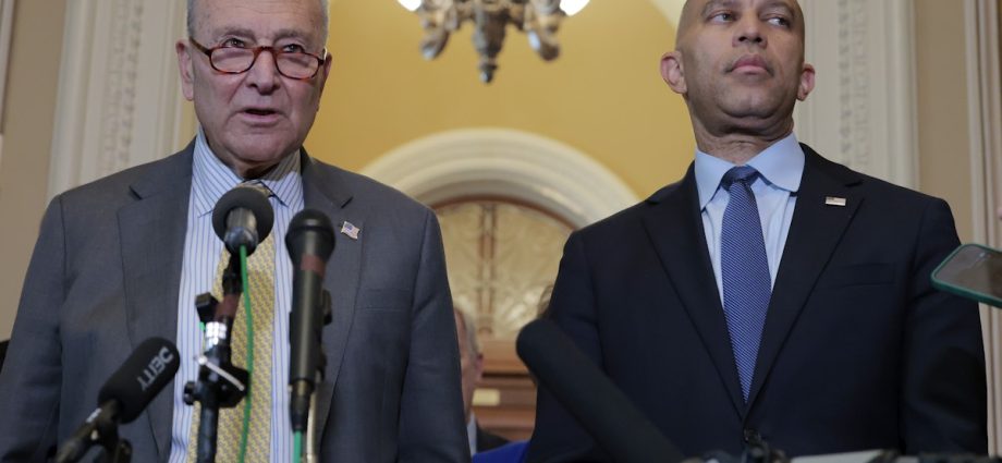 transcript:-why-democratic-leadership-is-clueless-about-politics