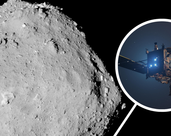 Scientists find evidence of flowing water on Ryugu’s ancient parent asteroid. ‘It was a genuine surprise!’