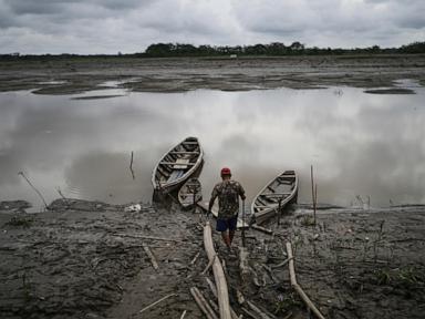 well-preserved-amazon-rainforest-on-indigenous-lands-can-protect-people-from-diseases,-study-finds