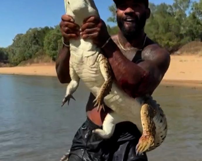 influencer-under-investigation-over-crocodile-wrangling