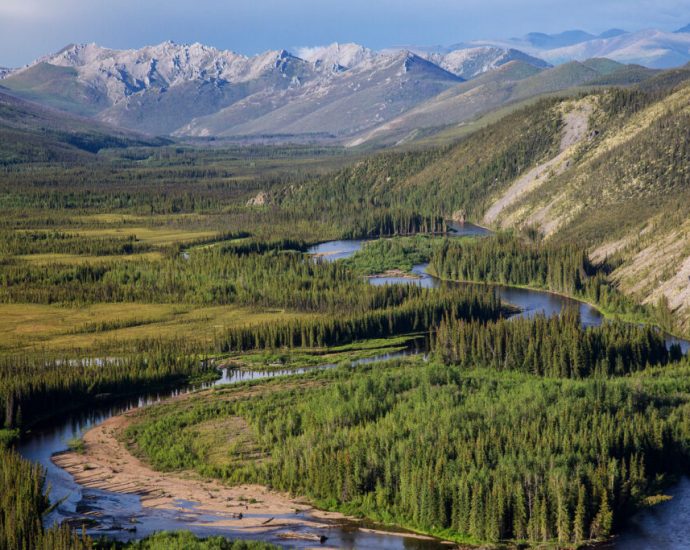 house-republicans’-use-of-little-known-law-to-strike-down-public-land-plans-could-be-pandora’s-box-moment