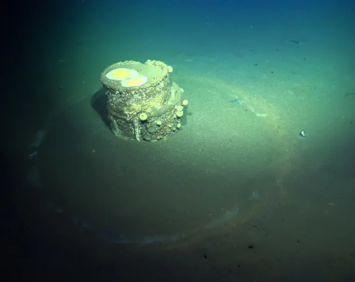 Scientists finally solve the mystery of ghostly halos on the ocean floor
