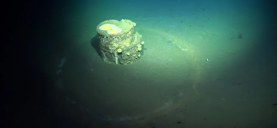 Scientists finally solve the mystery of ghostly halos on the ocean floor