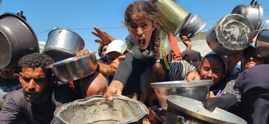 genocide-in-gaza?