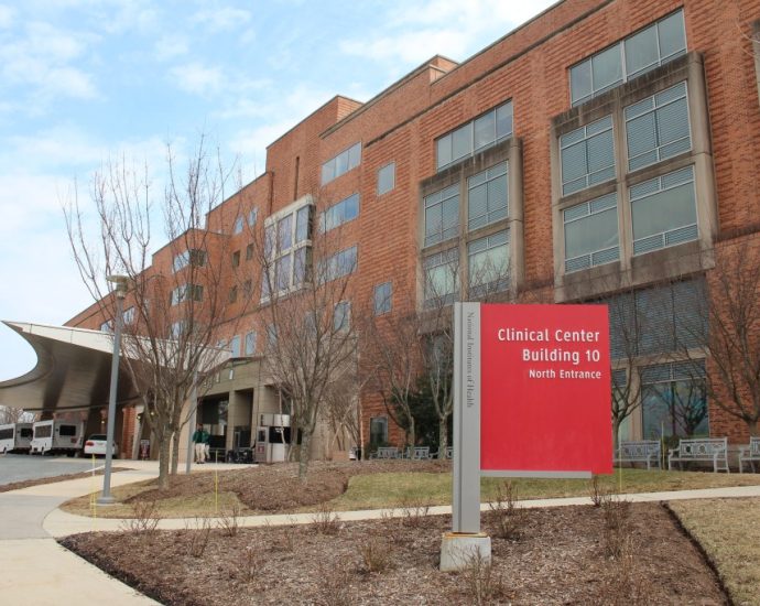 Watch: Patient Numbers at NIH Hospital Tumble After The Traitor Cuts