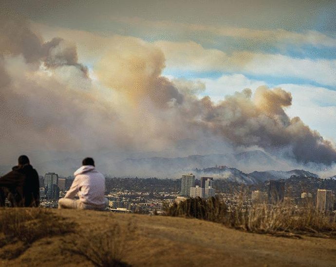 Burning questions on wildfire | Science