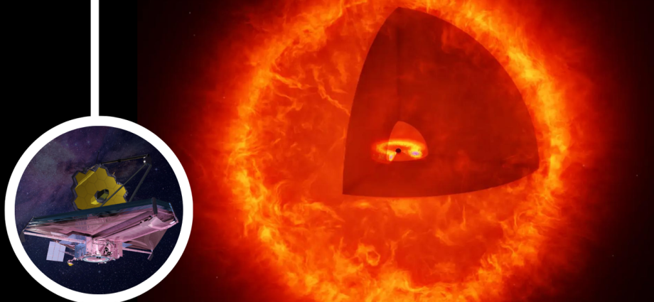Are ‘little red dots’ seen by the James Webb Space Telescope actually elusive ‘black hole stars’?