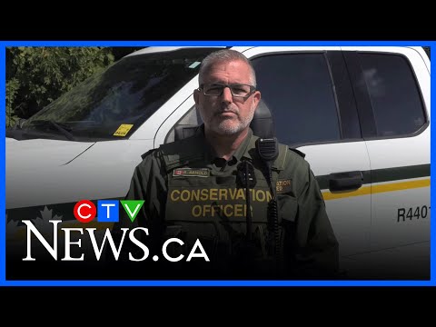 ontario-man-convicted-in-absentia-for-dumping-demolition-waste