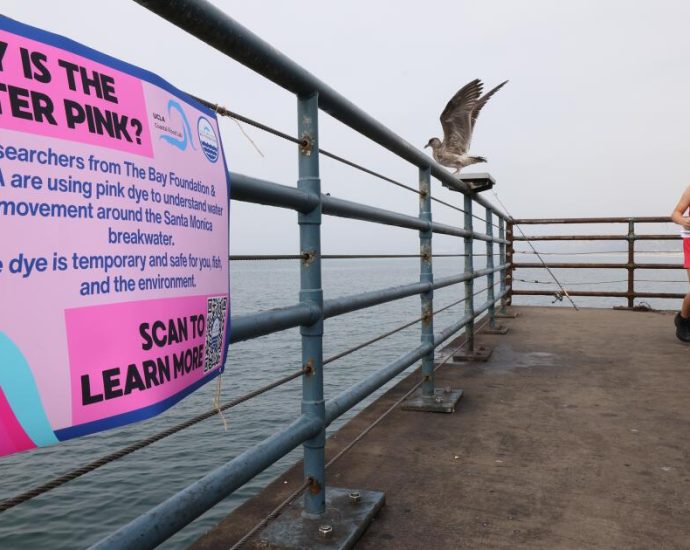 santa-monica’s-waves-have-turned-a-bright-pink.-how-can-the-dye-job-improve-water-quality?