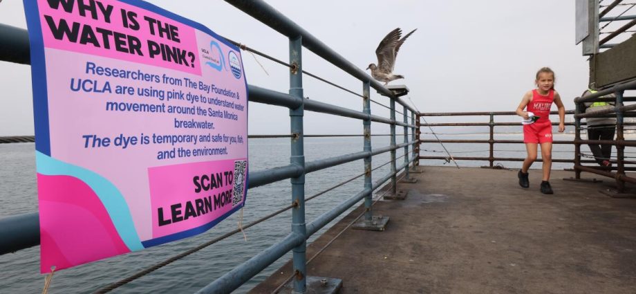 santa-monica’s-waves-have-turned-a-bright-pink.-how-can-the-dye-job-improve-water-quality?