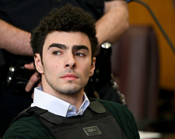judge-throws-out-flimsy-terrorism-charges-against-luigi-mangione