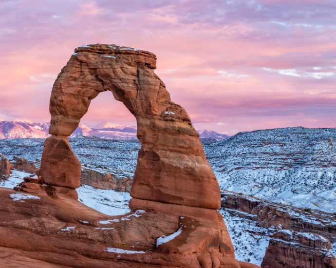 the-roading-of-the-last-wild-places