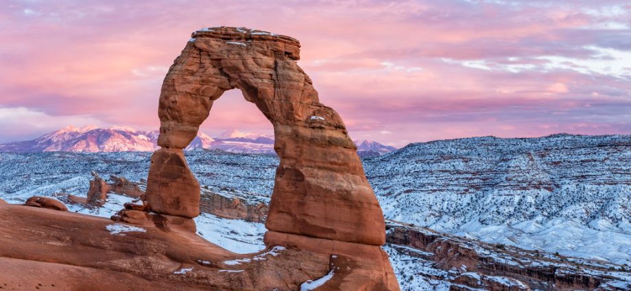 the-roading-of-the-last-wild-places