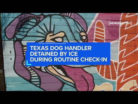 texas-dog-handler-detained-by-ice-during-routine-check-in