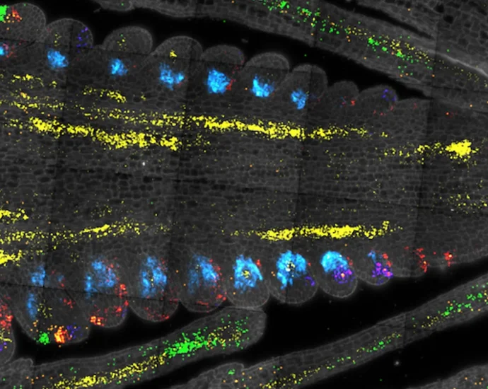 scientists-just-found-the-“master-switch”-for-plant-growth