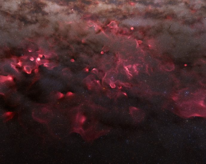 44 million Milky Way stars glimmer in galaxy’s largest 3D map