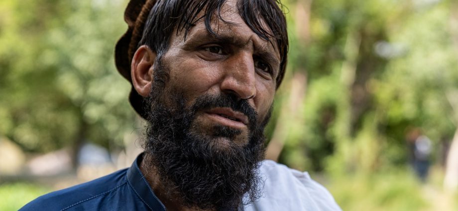 ‘a-human-cannot-live-there-any-more’:-afghan-quake-survivors-plead-for-help