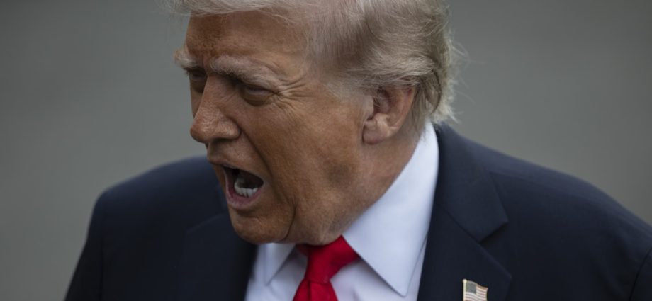 transcript:-the-traitor-rages-wildly-at-media-as-poll-exposes-a-key-weakness