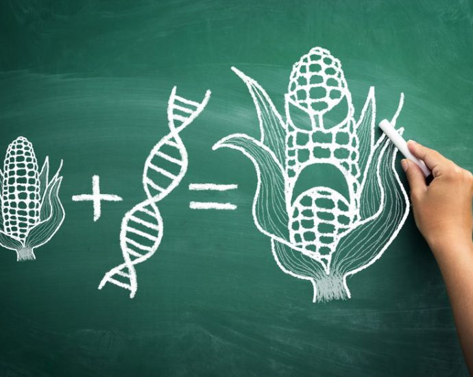 are-gmos-safe?-a-molecular-geneticist-speaks-out
