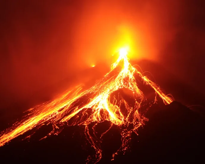 a-volcano-erased-an-island’s-plants.-their-dna-revealed-how-life-starts-over