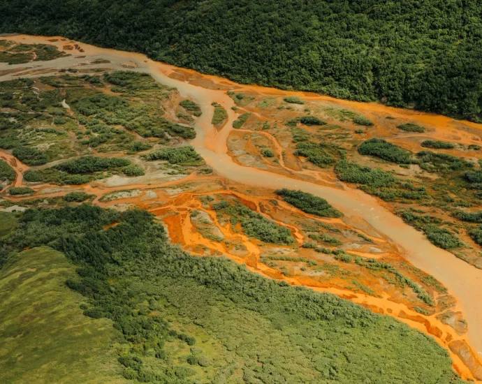 why-alaska’s-salmon-streams-are-suddenly-bleeding-orange