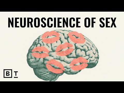 the-neuroscience-of-arousal-|-emily-nagoski
