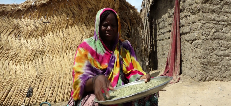 ‘we-will-stay’:-displaced-nigerians-fear-boko-haram,-stay-in-closing-camps