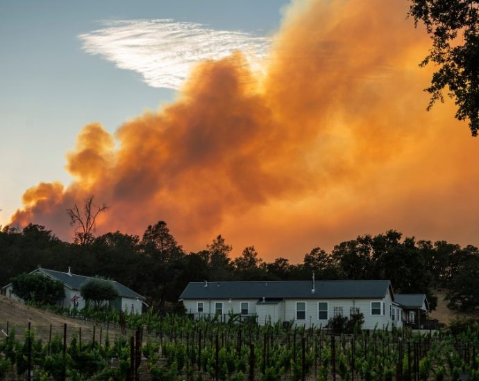 california-officials-testing-‘burnbot’-machines-for-wildfire-response