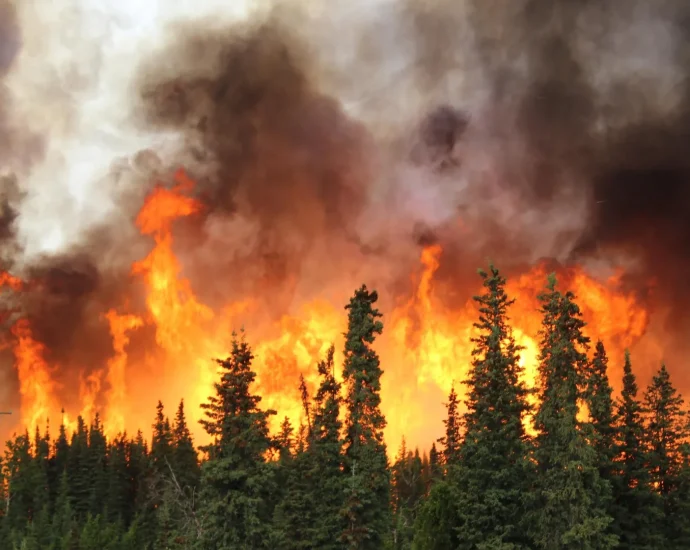 wildfire-smoke-could-kill-70,000-americans-a-year-by-2050