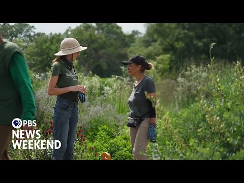 in-detroit,-a-public-garden-thrives-with-help-from-an-army-of-volunteers