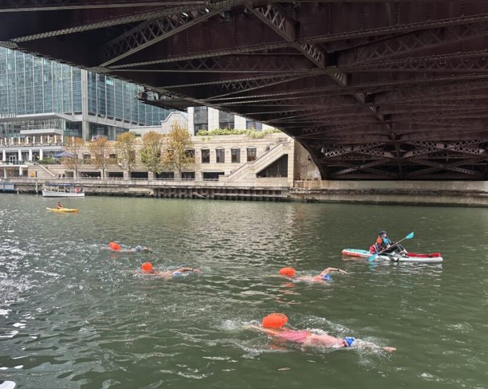 ‘a-really-monumental-day’-for-chicago-river:-clean-enough-for-hundreds-to-swim-in