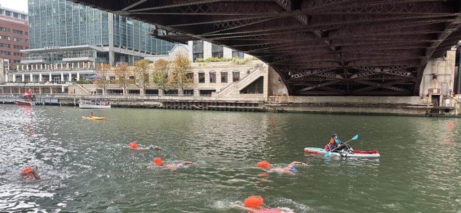 ‘a-really-monumental-day’-for-chicago-river:-clean-enough-for-hundreds-to-swim-in