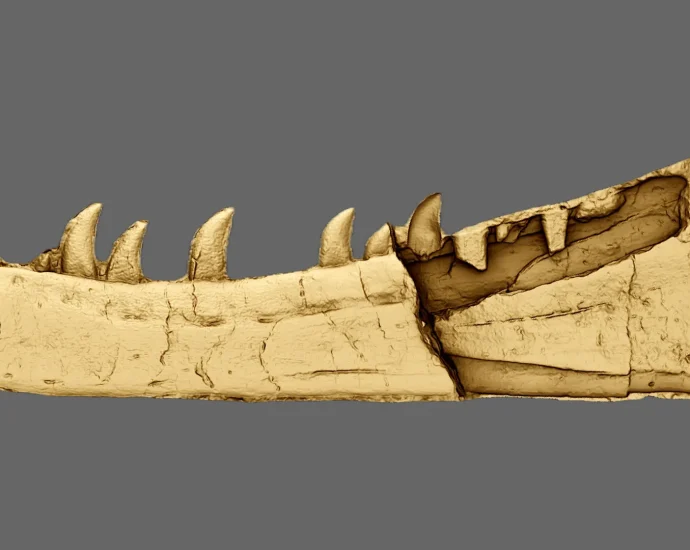 hidden-for-125-years,-a-welsh-fossil-turns-out-to-be-a-dinosaur
