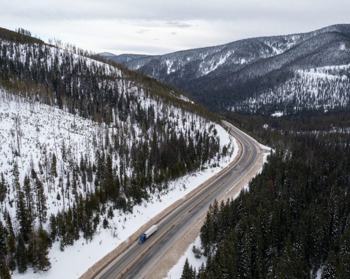 for-wildlife,-a-new-bridge-to-nowhere