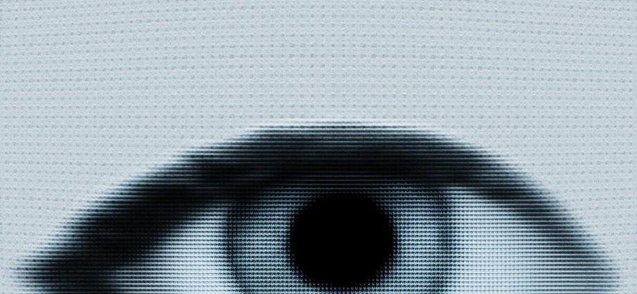 revealed:-‘chilling’-surveillance-of-activists-by-meat-and-dairy-industry