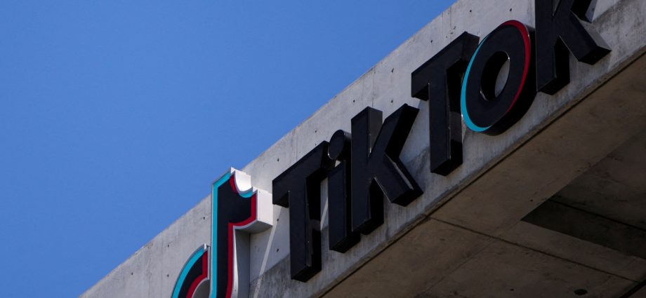 investors-rejoice-over-looming-tiktok-deal-despite-political-concerns