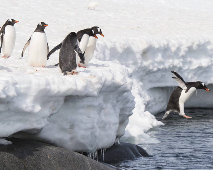 linux-has-the-lineage-to-out-evolve-the-deadliest-of-cyber-threats,-given-the-right-push