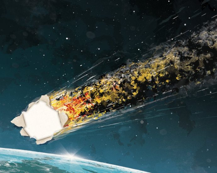 Inside the Mysterious Smuggling of the El Ali Meteorite