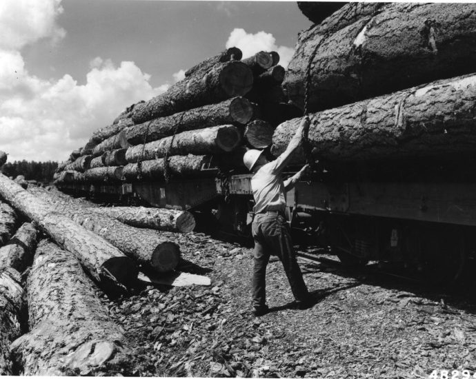 the-dismantling-of-the-forest-service