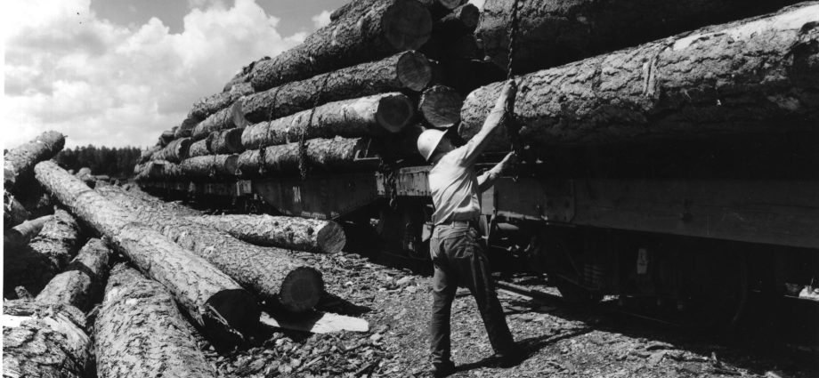 the-dismantling-of-the-forest-service