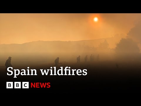 spain-counts-the-cost-of-‘nightmare’-wildfire-summer-|-bbc-news