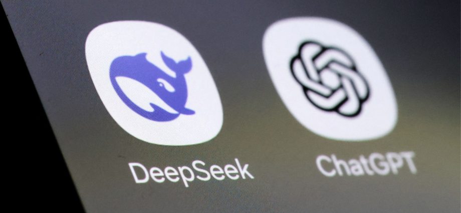 what-are-the-risks-of-a-global-digital-divide-in-ai?