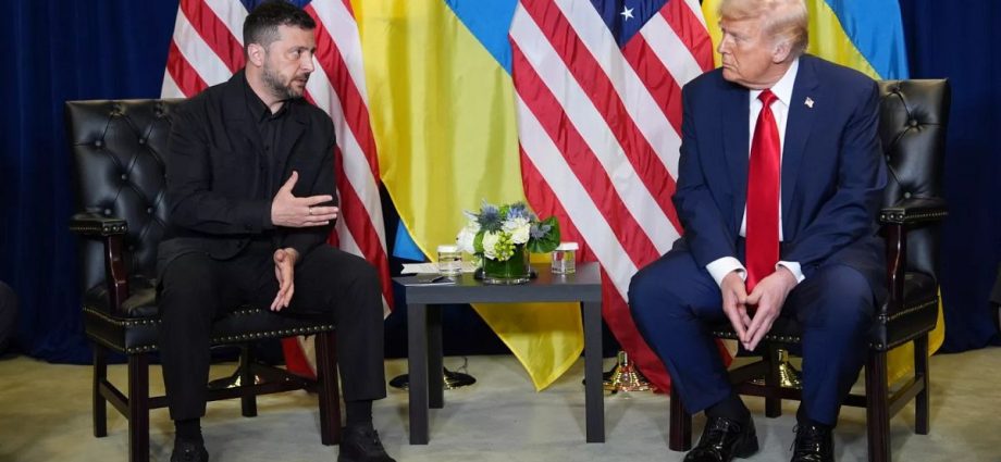 nato-members-should-shoot-down-russian-aircraft-if-they-enter-airspace,-the-traitor-says