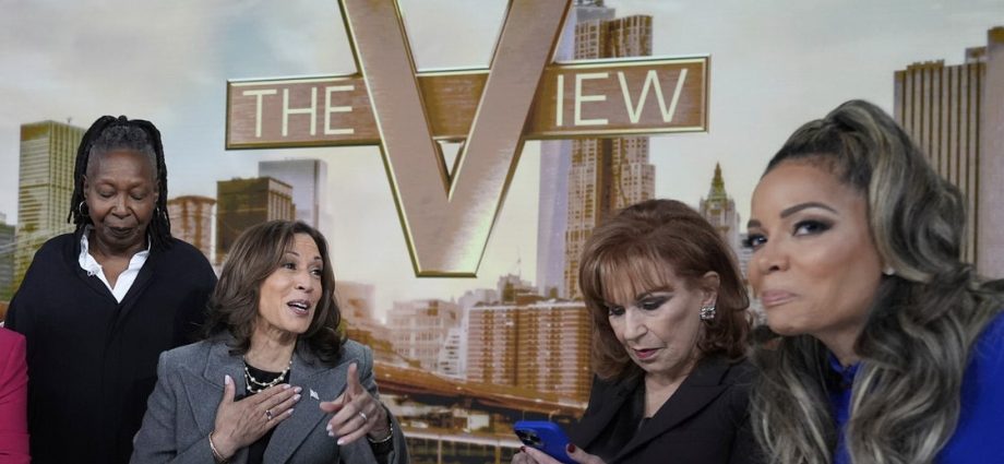 kamala-harris-returns-to-‘the-view,’-discusses-disastrous-campaign-interview