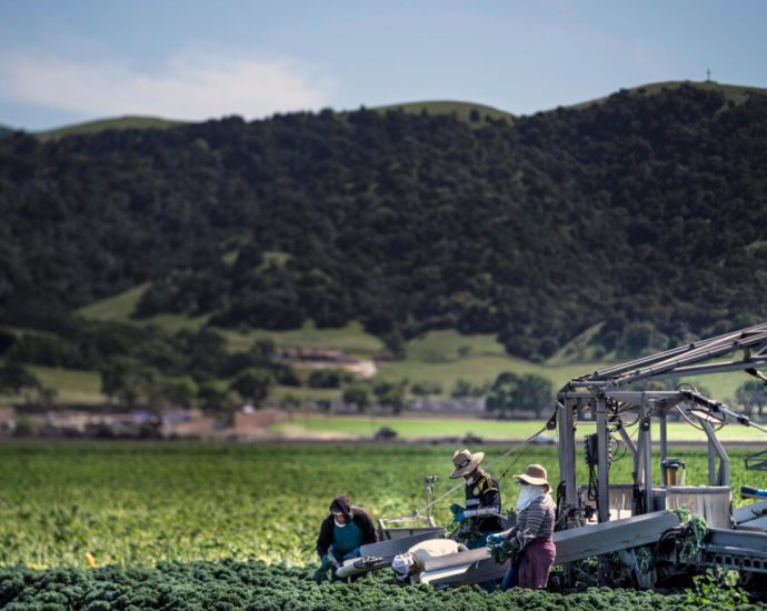 pesticides-in-your-produce?-probably.