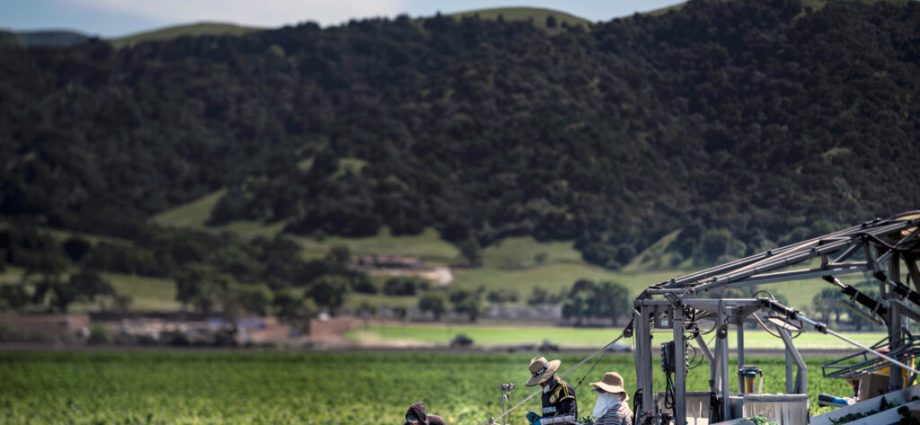 pesticides-in-your-produce?-probably.