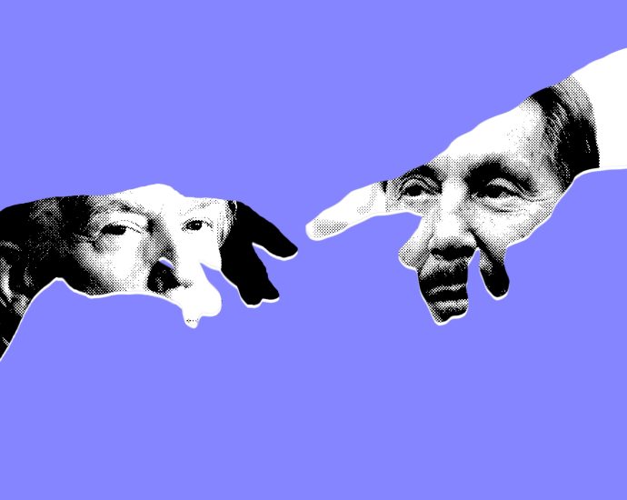 larry-ellison-is-a-‘shadow-president’-in-traitor-47’s-america